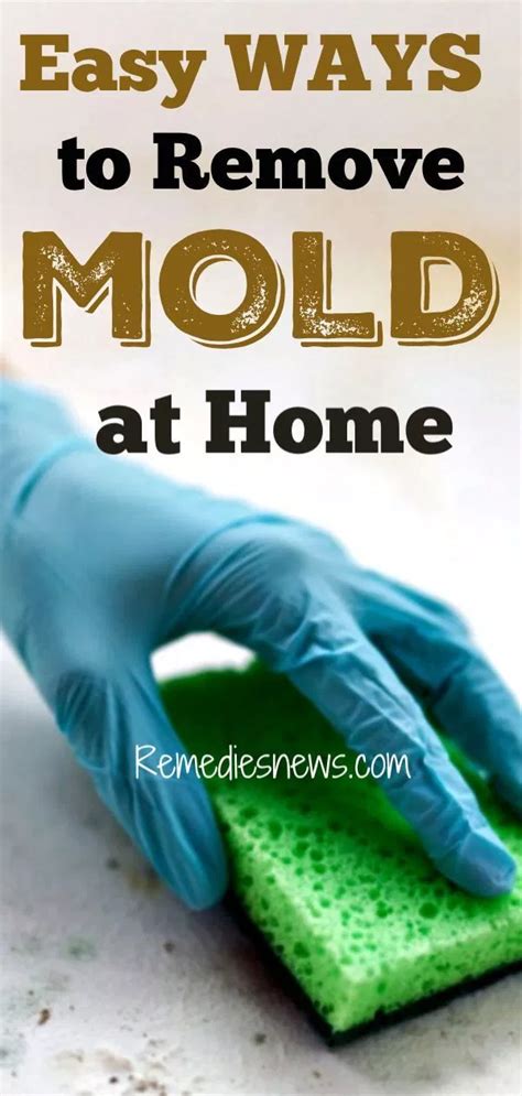 Protect Your Family's Health with Magic Mold Remover